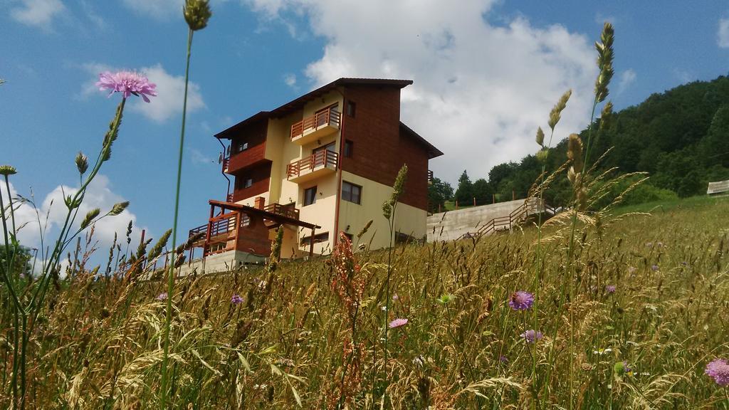 Pensiunea Daria Fundata Exterior photo
